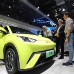 dims theinvestmentnews.com