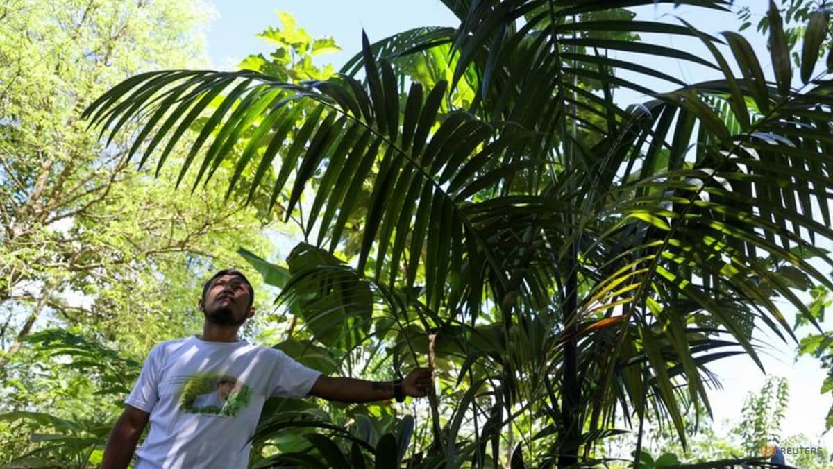 2023-11-11t101534z_2_lynxmpejaa01v_rtroptp_3_global-environment-colombia-killings theinvestmentnews.com