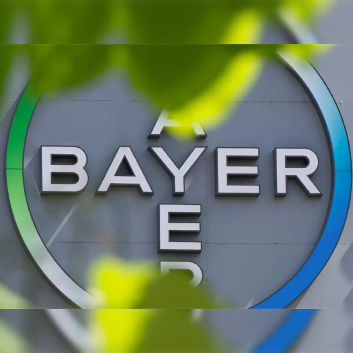 bayer-bullish-on-india-but-monsantos-image-remains-a-challenge theinvestmentnews.com