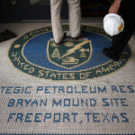 -1x-1(36) theinvestmentnews.com