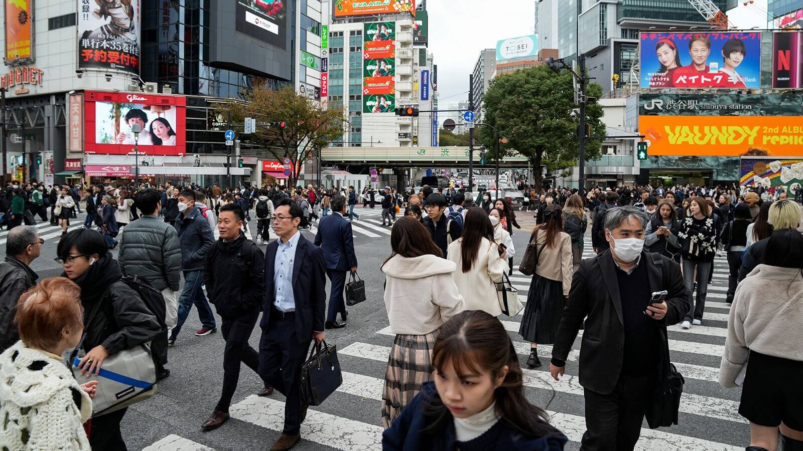 Japan slips into recession - theinvestmentnews.com